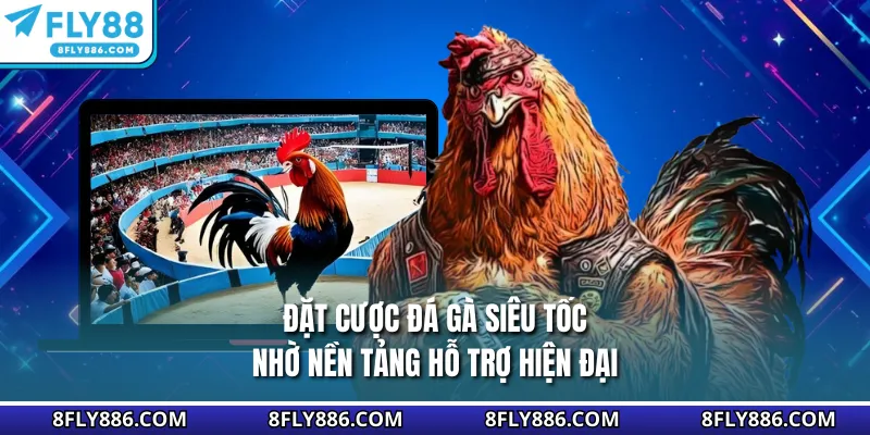Đặt cược đá gà siêu tốc nhờ nền tảng hỗ trợ hiện đại