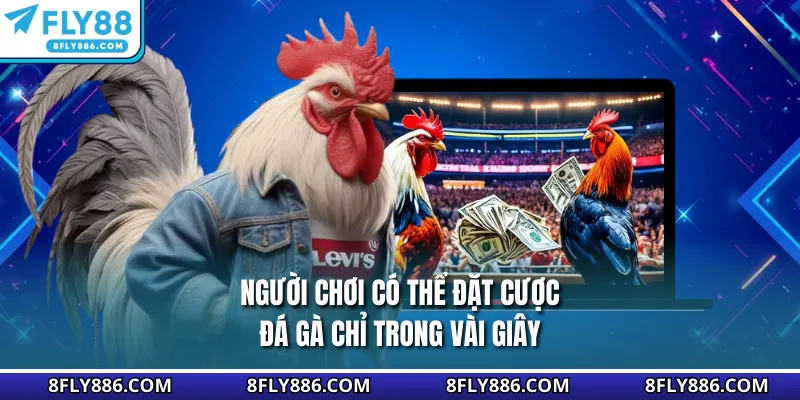 Người chơi có thể đặt cược đá gà chỉ trong vài giây