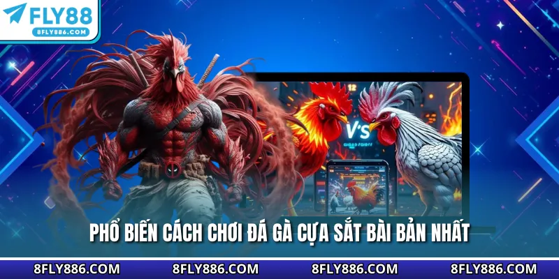 Phổ biến cách chơi đá gà cựa sắt bài bản nhất
