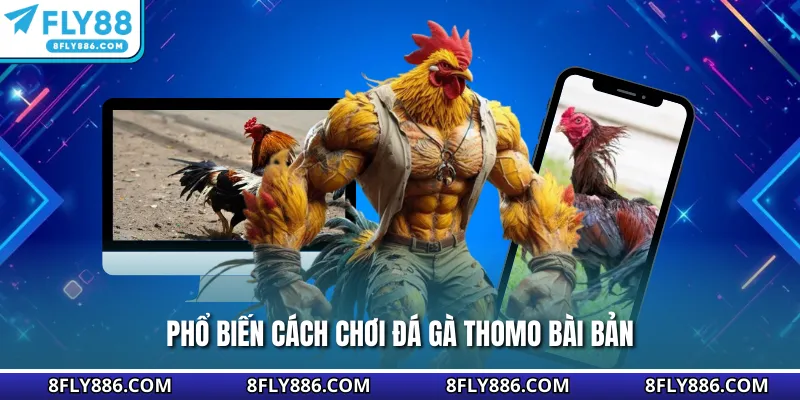 Phổ biến cách chơi đá gà Thomo bài bản