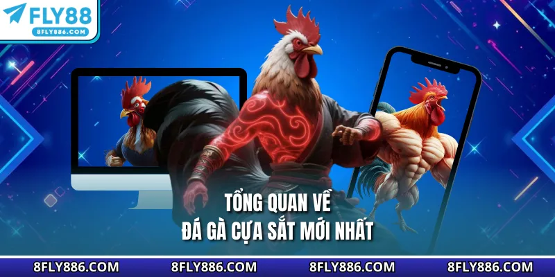 Tổng quan thông tin hình thức đá gà cựa sắt